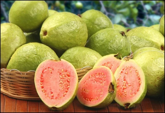 gesundes obst lebe gesund guave hauptsache gesund