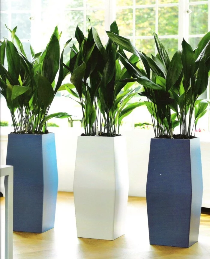 pflanzgefäße moderne dekoration mit riesengroßen pflanzenbehältern