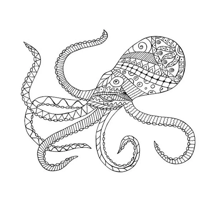 Oktopus Ausmalvorbilder für verschiedene Muster