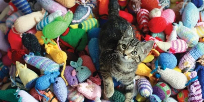 stricken fuer anfaenger kreative weihnachstgeschnke selber machen katzenspielzeug basteln