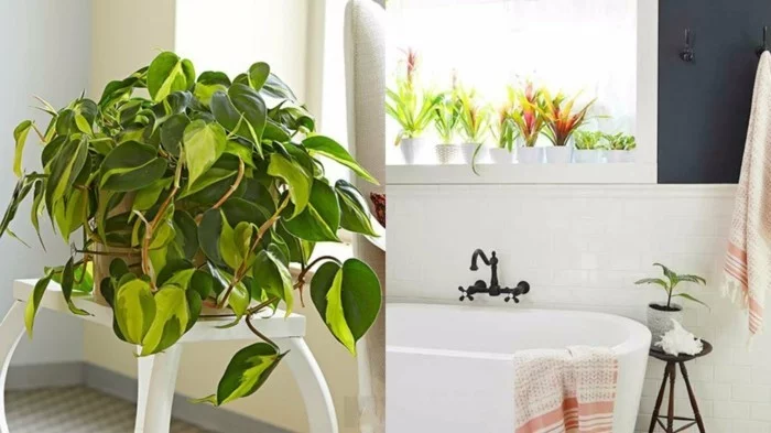 gruene pflanzen badezimmer gestalten doppelte ansicht