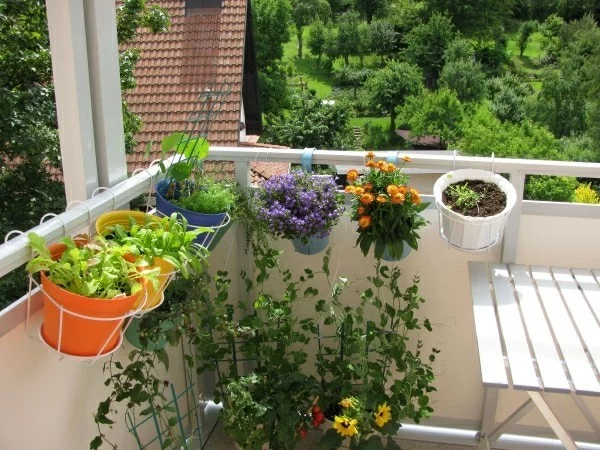 mehrere verschiedene Pflanzer auf einem Balkon Garten