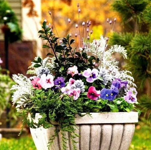 Winter Flower Pot Ideas xcLkv Fresh Winter Flower Planter Pots Container Gardening Growing Flowers In