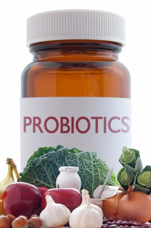 probiotika ideen tolle produkte