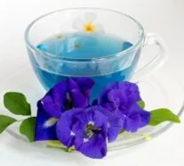 Ein cooles, blaues Getränk gefällig? Hier kommt der Butterfly Pea Tea!