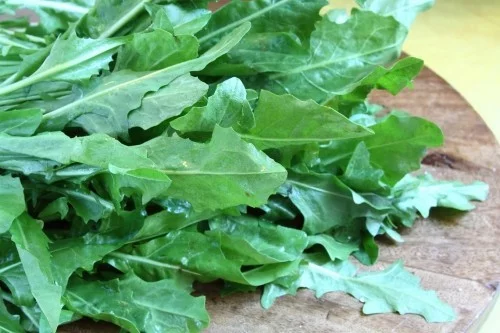 grünblatt gemüse gesundes essen