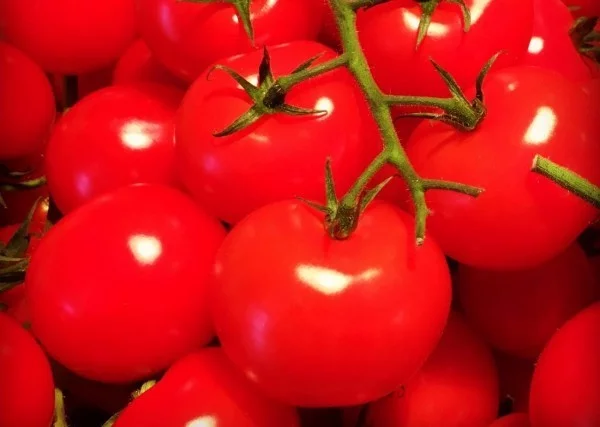tomaten lecker gesund essen