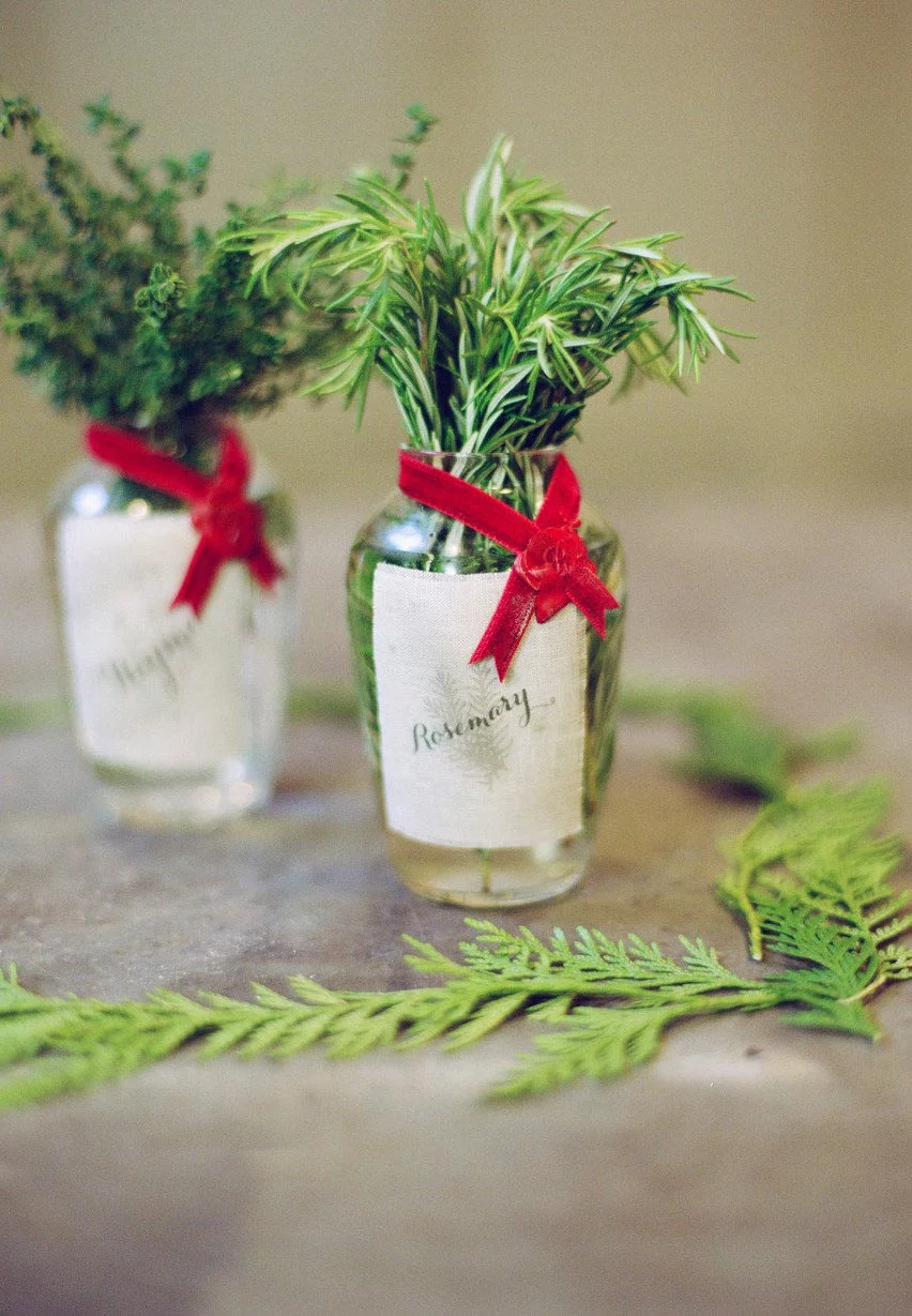 weihnachtsgeschenke basteln glas mit pflanzen