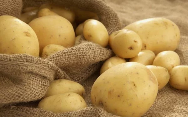 Gesunde Kohlenhydrate Speisekartoffeln Süßkartoffeln sind gesünder