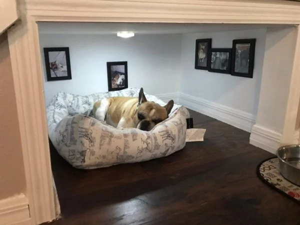 Bett für den Hund Treppenhaus