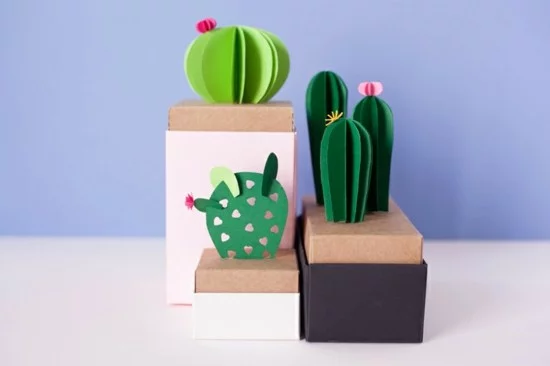 kaktus deko basteln geschenkverpackung