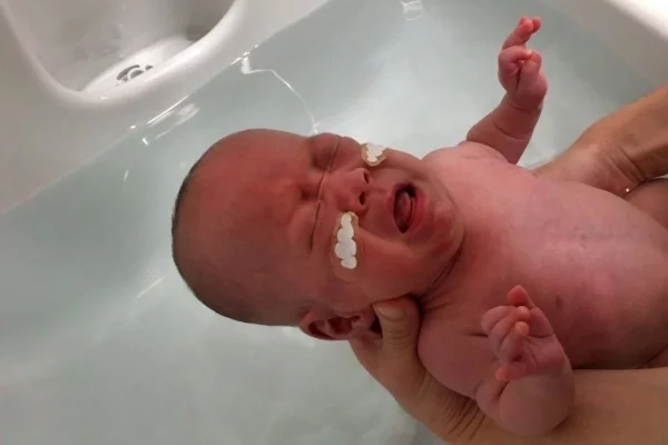 Kleinste Baby der Welt, das bei Geburt nur 268 Gramm wog, geht nach Hause kleinstes baby geht nach hause