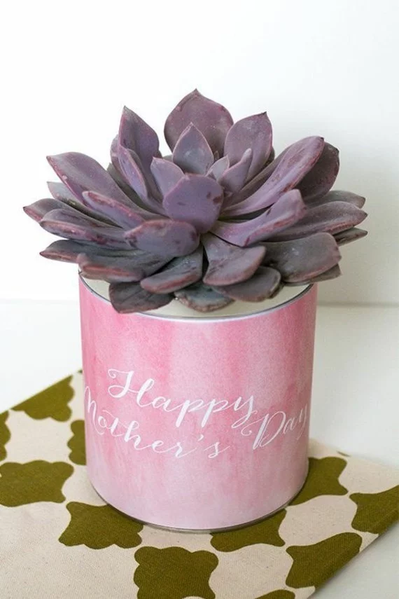 Muttertagsgeschenke basteln DIY Sukkulente Blumentopf