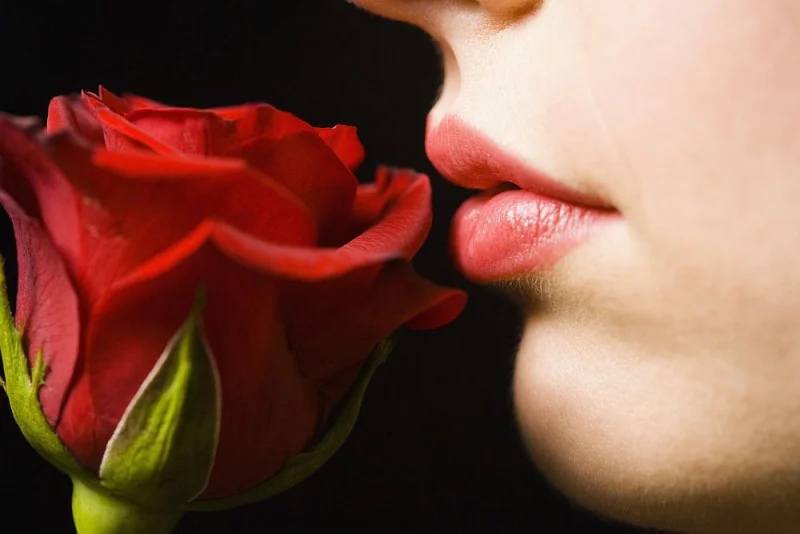Blumensprache rote Rosen Symbol der Liebe sagen mehr als tausend Worte
