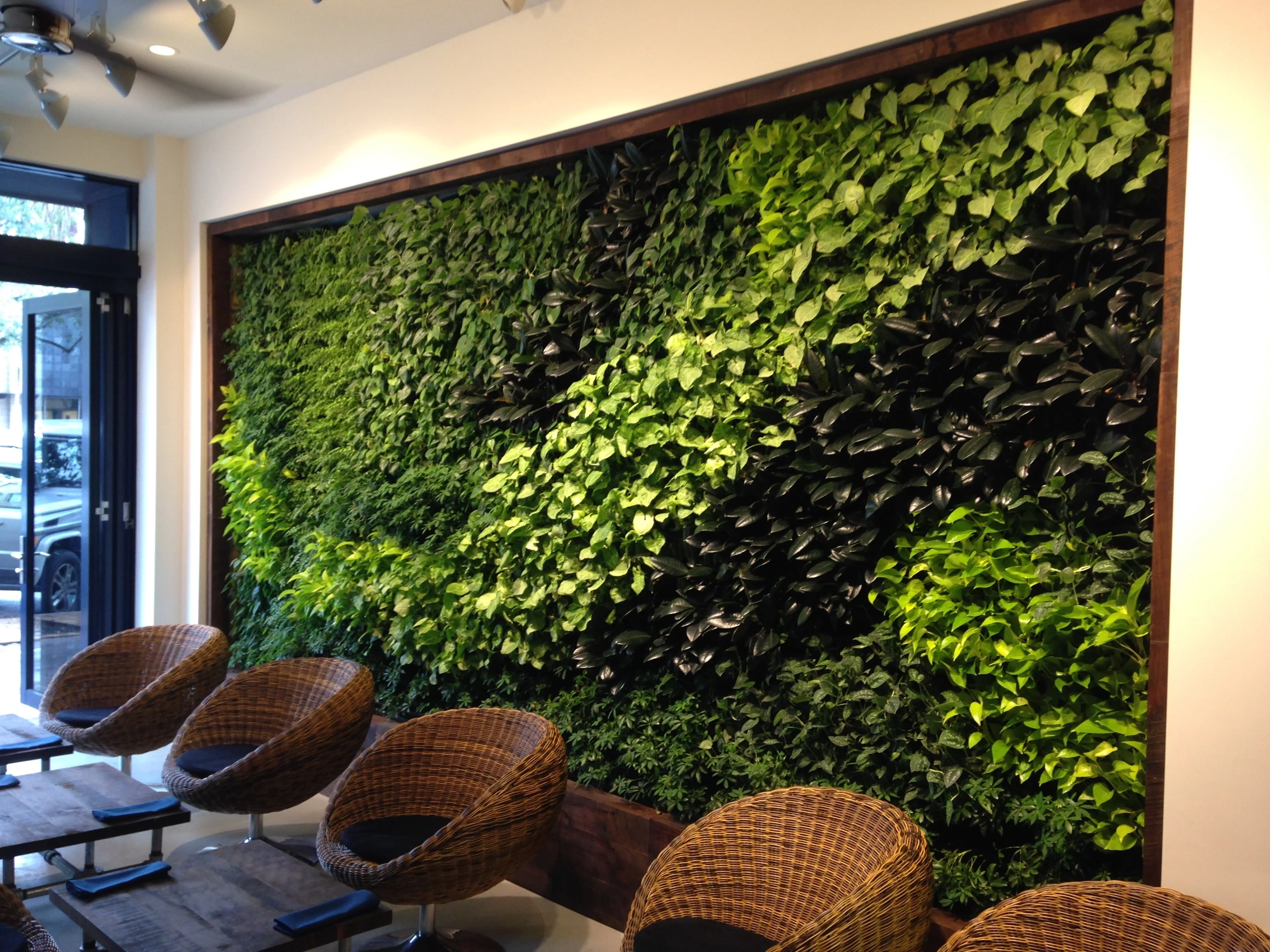 sehr tolle Idee mit Pflanzen Grüne Wandgestaltung