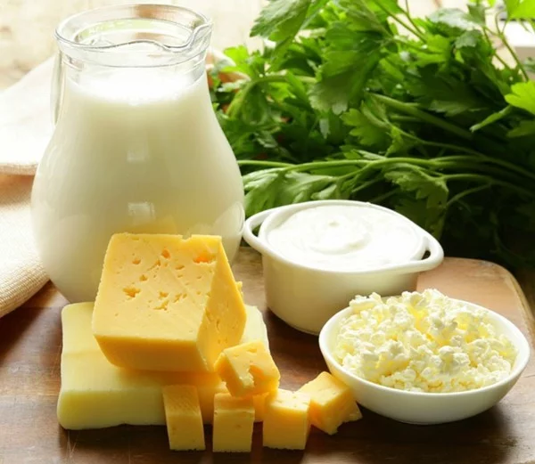 Probiotische Lebensmittel gereifte Käsesorten gesunde Darmflora