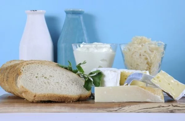 Probiotische Lebensmittel gesunde Ernährung Milchprodukte