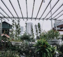Urban Gardening – der letzte Trend in der Gärtnerei