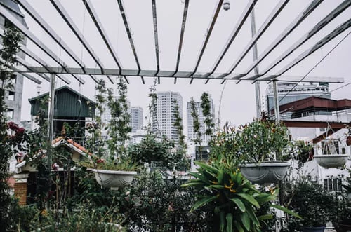 Urban Gardening Alternative gegen das unpersönliche Leben in der Großstadt