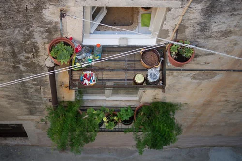 Urban Gardening Töpfe mit grünen Pflanzen auf dem kleinen Balkon