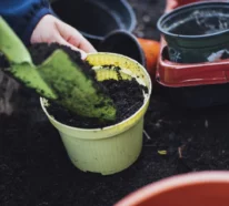 Urban Gardening – der letzte Trend in der Gärtnerei