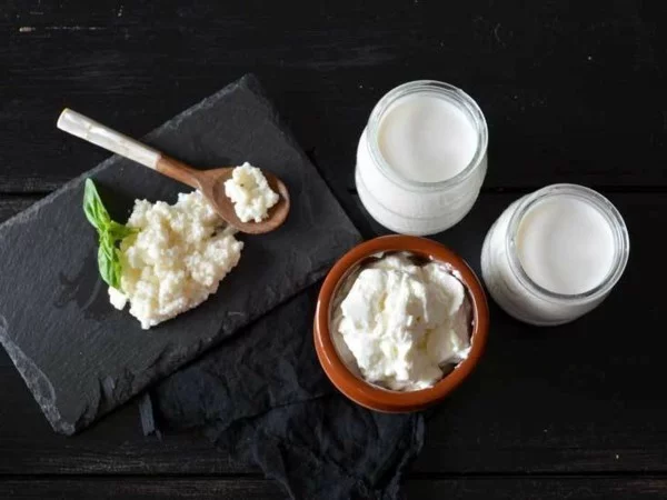 Kefir gesund Milchgetränk Milchkefir probiotische Lebensmittel Kefirknollen