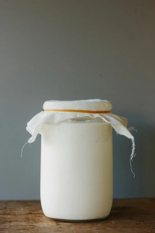 Kefir gesund Milchgetränk Milchkefir selber machen Glas Kefirknollen