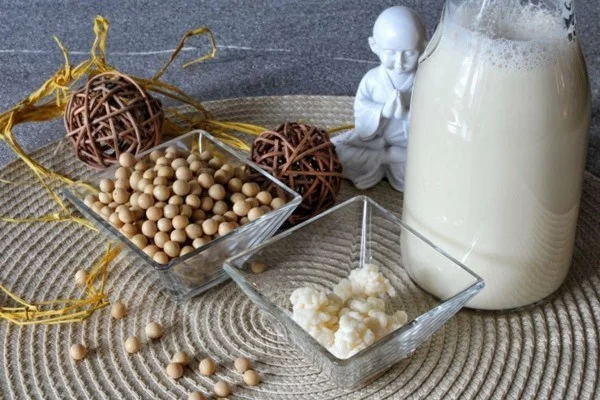 Kefir gesund Wasserkefir Milchkefir probiotische Lebensmittel Kefirknollen