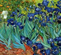 Vincent van Gogh – sein turbulentes Leben fand genialen Ausdruck in seiner Kunst