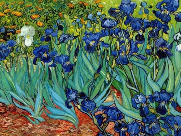 Van Gogh größter niederländischer Maler Blue Irises Mai 1889 sichtbare Pinselstriche