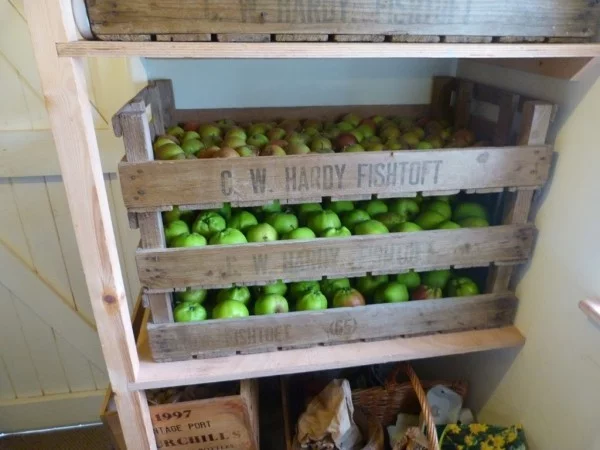 Apfel Äpfel gesund - grüne Ideen