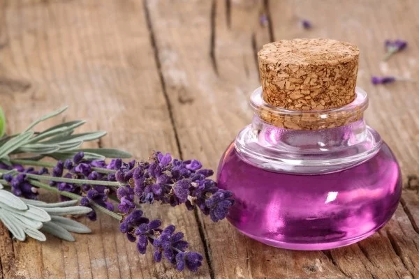 gesund leben lavendel perfum und heilmittel