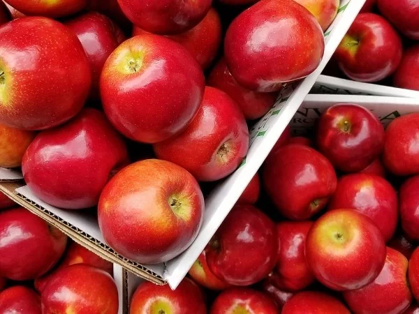 glanzvolle Apfel Äpfel sind gesund