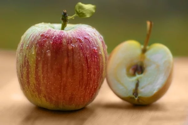 kleiner und großer Apfel Äpfel gesund