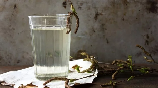 Birkenwasser trinken Glas klar neutraler Geschmack Birkensaft Wirkung