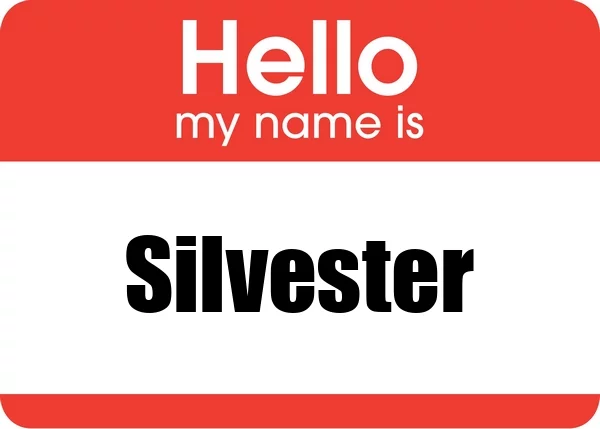 Woher stammt der Name Silvester
